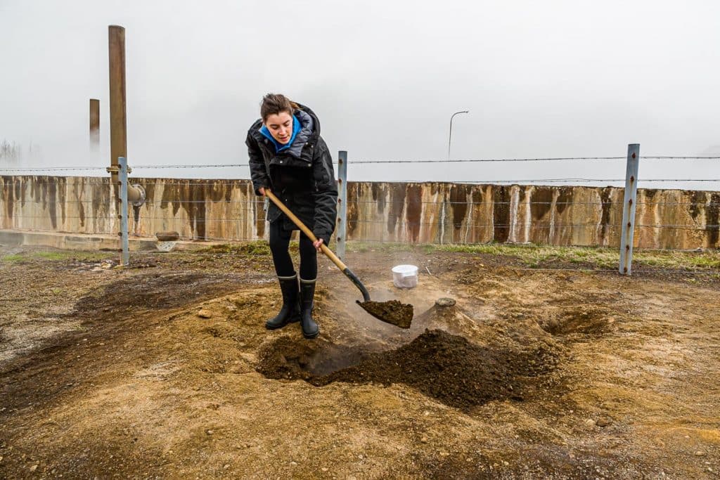 Mitarbeiterin Beatrice, Fontana Bakery Laugarvatn, gräbt mit einer Schaufel ein Loch für das Roggenbrot. 24 Stunden wird das Brot in der heißen Erde garen / © Foto: Georg Berg