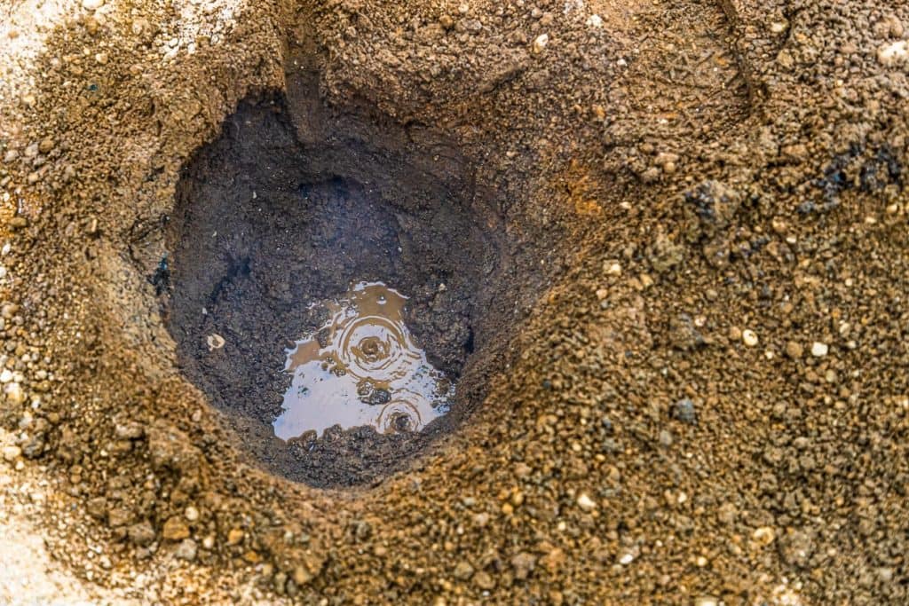 Heiße Quellen zum Backen von Hverabrauð, dem süßen isländischen Roggenbrot. Blasen im Sand, aus denen etwas Dampf emporsteigt, deuten auf die richten Stellen zum Backen hin / © Foto: Georg Berg