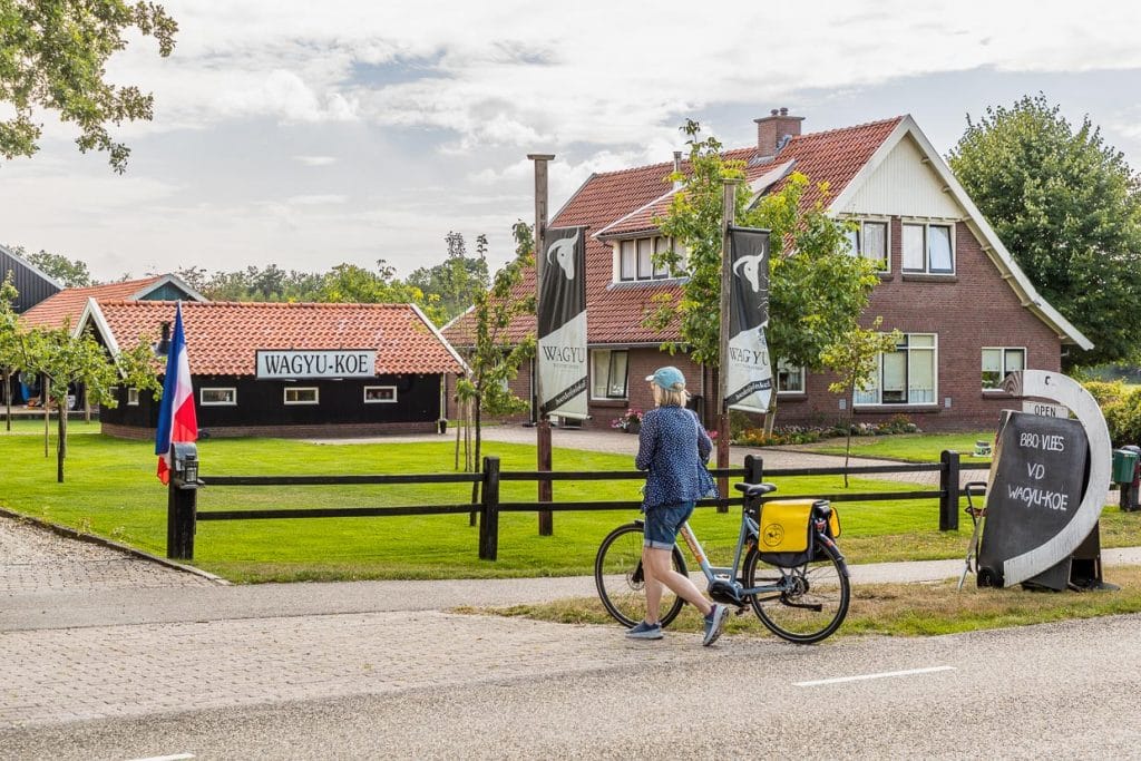 Wagyu-Farm in Delden mit Hofverkauf von Fleisch / © Foto: Georg Berg