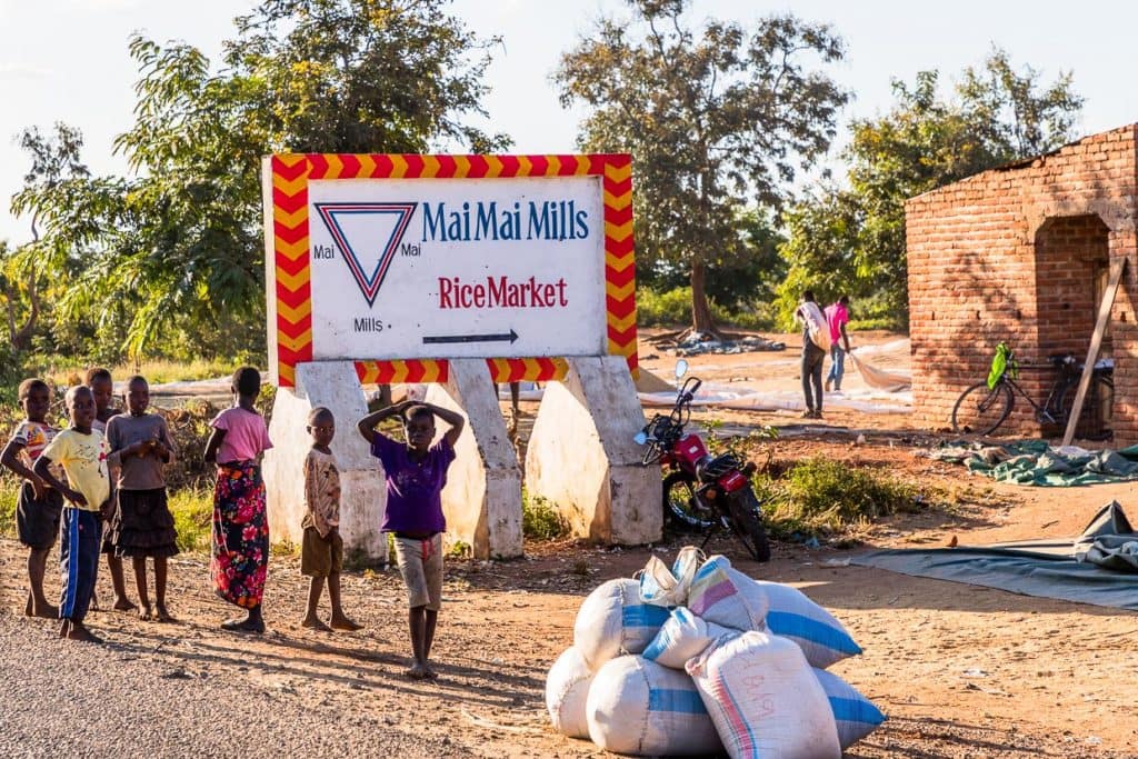 Maismühle in Malawi. Die Familien bringen die Ernte zu einer nahegelegenen Maismühle. Hier wird der Mais zu Maispulver verarbeitet, das die Basis für Nizma, einem Maisbrei, ist / © Foto: Georg Berg