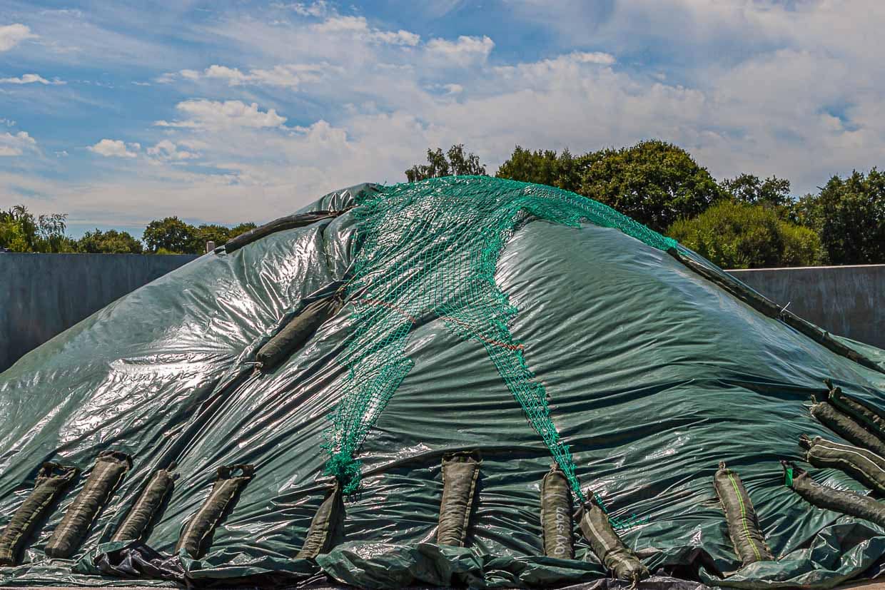 Mehr als drei Meter hoch türmen sich vor der Lagerhalle viele Tonnen rohes Salz der Guérande / © Foto: Georg Berg