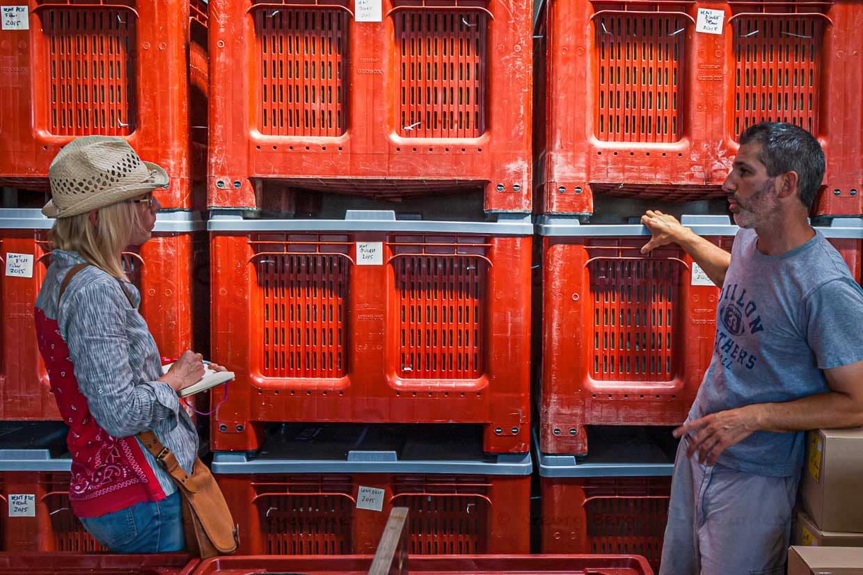Salz der Guérande: In großen lebensmittelechten Kisten lagert die Salzernte verschiedener Jahrgänge / © Foto: Georg Berg