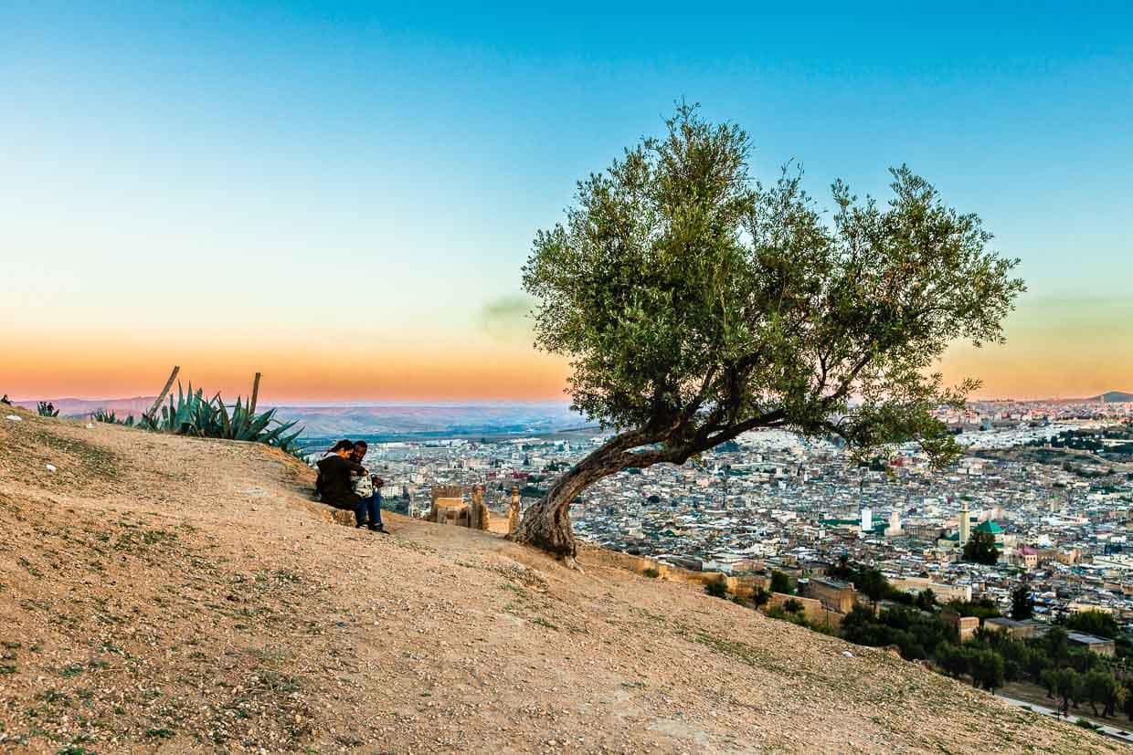 Ein Hügel im Norden der Stadt Fès, auf dem als historische Sehenswürdigkeit die Meriniden-Gräber liegen, bietet den besten Überblick / © Foto: Georg Berg