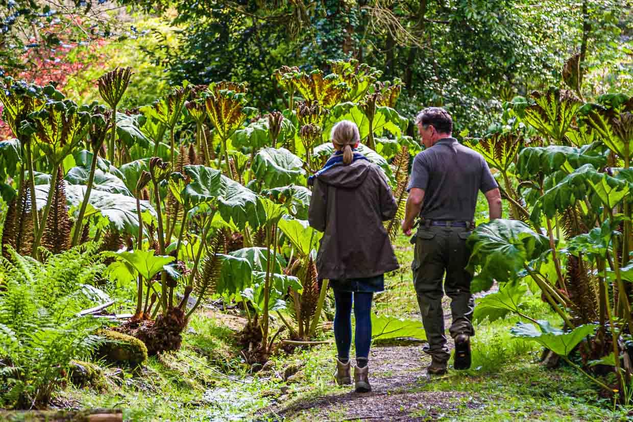 Eine lohnenswerte Führung: Ben Roscombe-King weiß spannende Details  zu berichten. So erzählt er, dass der Herzog von Bedford nicht nur ein großer Pflanzensammler war, sondern auch Tiere gesammelt hat. Darunter auch das graue Eichhörnchen. Es vermehrte sich in Gefangenschaft so gut, dass er die Nachkommen im Freundeskreis verschenkte und somit den Anfang vom Ende der roten Eichhörnchen auf den Britischen Inseln einläutete / © Foto: Georg Berg