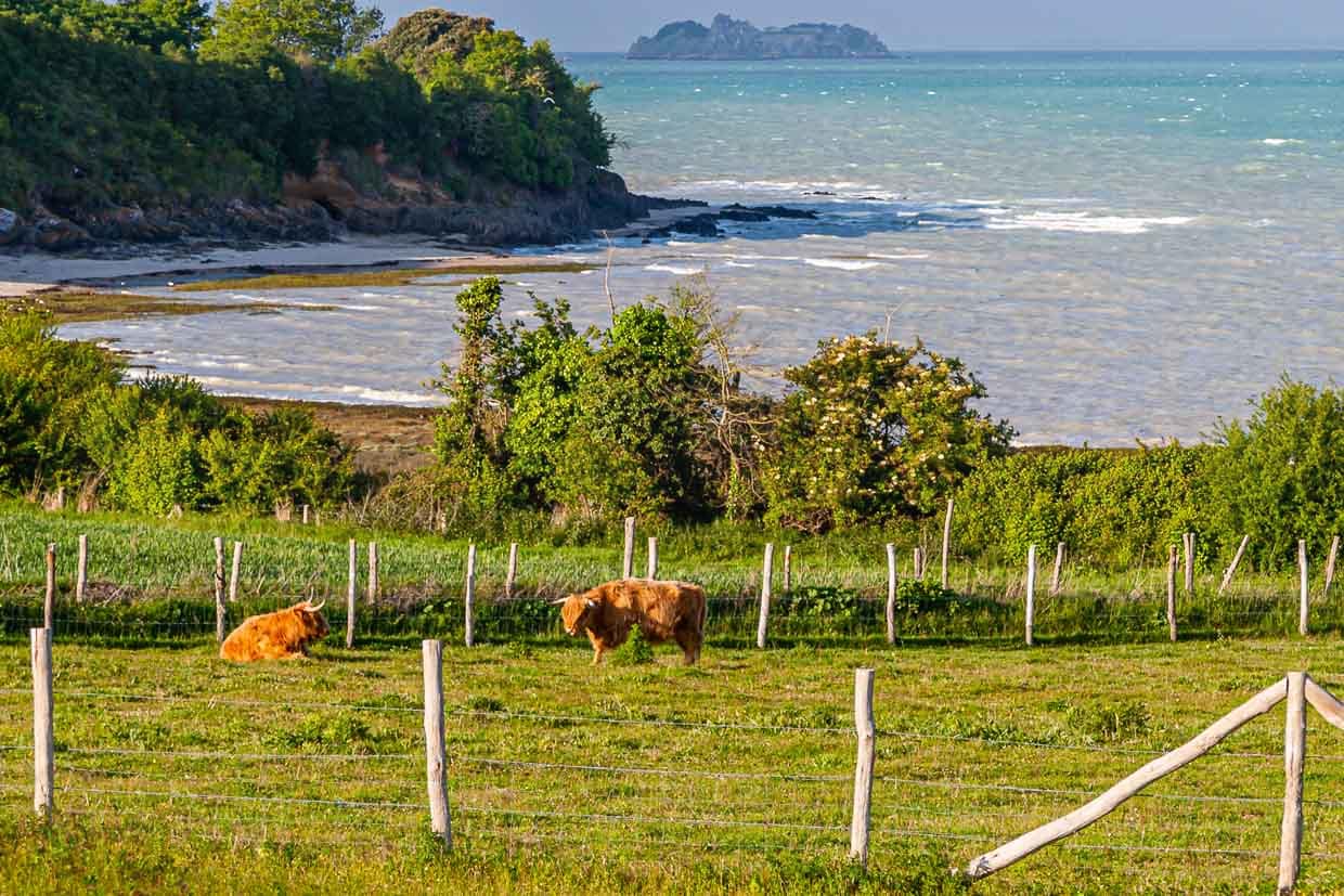 Blick über das "Feld des Windes" in Richtung Cancale, dem Zentrum der Austernzucht in der Region / © Foto: Georg Berg