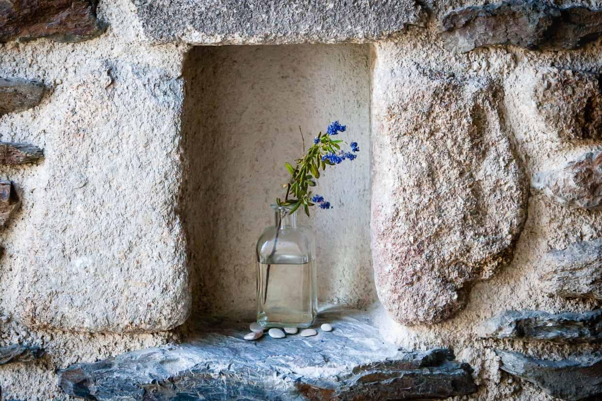 Frisches Kraut in der Mauernische sorgt für angenehmen Duft / © Foto: Georg Berg