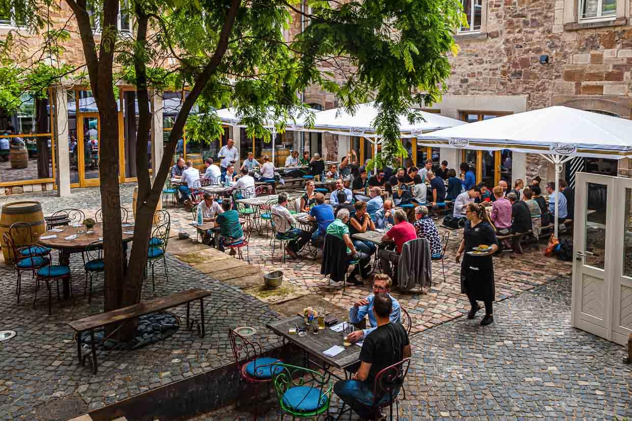 Der Plan, die 800 Jahre alte Klosteranlage für die Öffentlichkeit zugänglich zu machen, geht auf / © Foto: Georg Berg