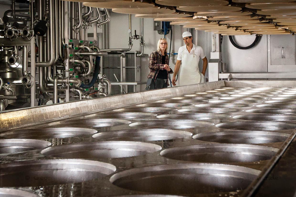 In der Presswanne werden die Käse in Form gebracht / © Foto: Georg Berg