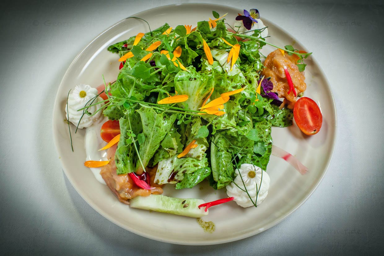Ein Gruß aus dem Garten. Salat mit Marillenchutney und Kürbiskernöl sowie Blüten und Kräutern / © Foto: Georg Berg