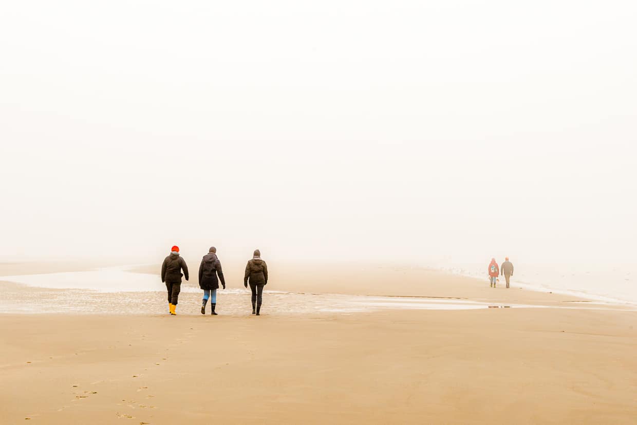 In Prielen fließt das Wasser bei Ebbe zum Meer und bei Flut in die andere Richtung. Bei Nebel kann das Wattenmeer zum Labyrinth werden / © Foto: Georg Berg