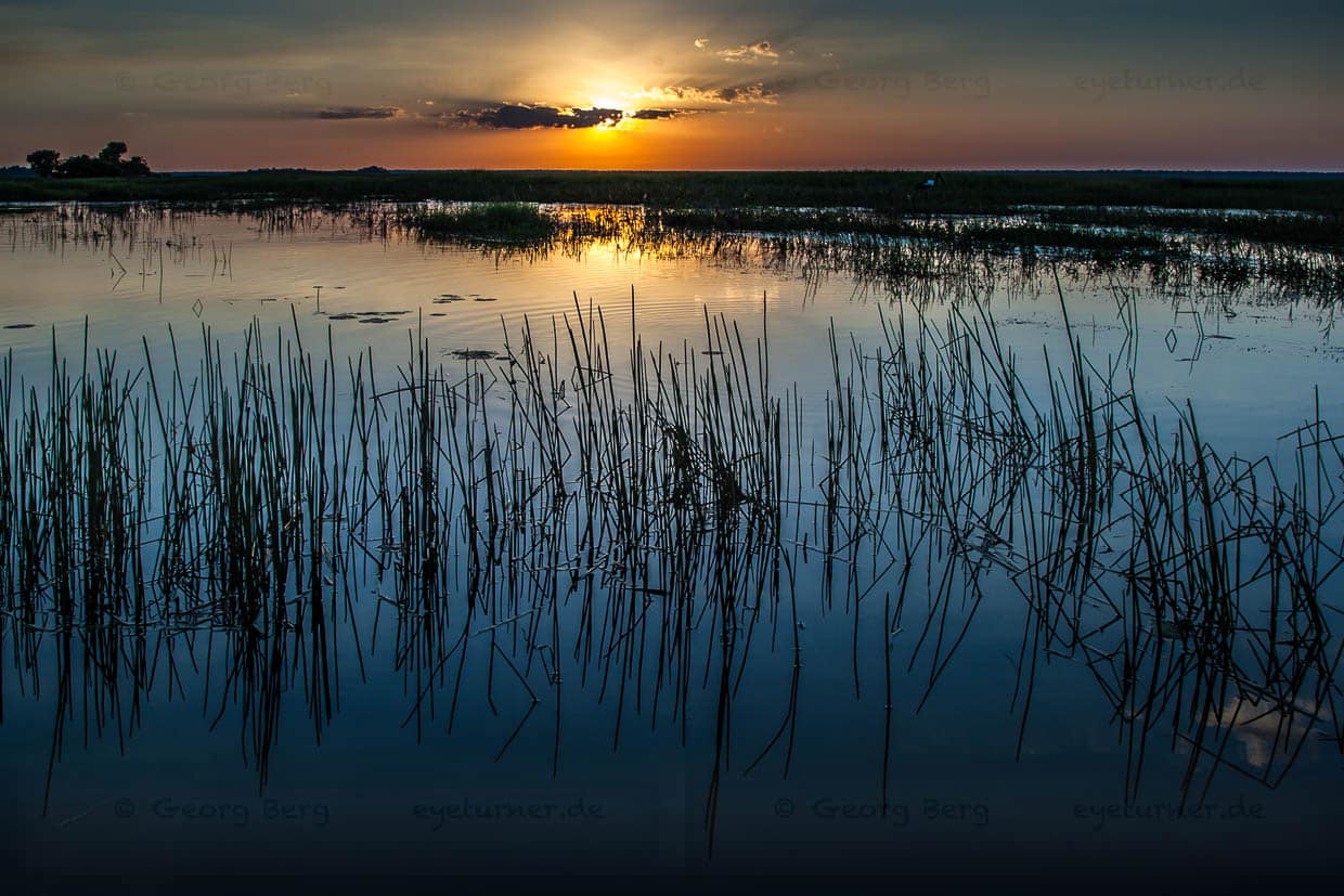 Die Sonne verabschiedet sich / © Foto: Georg Berg