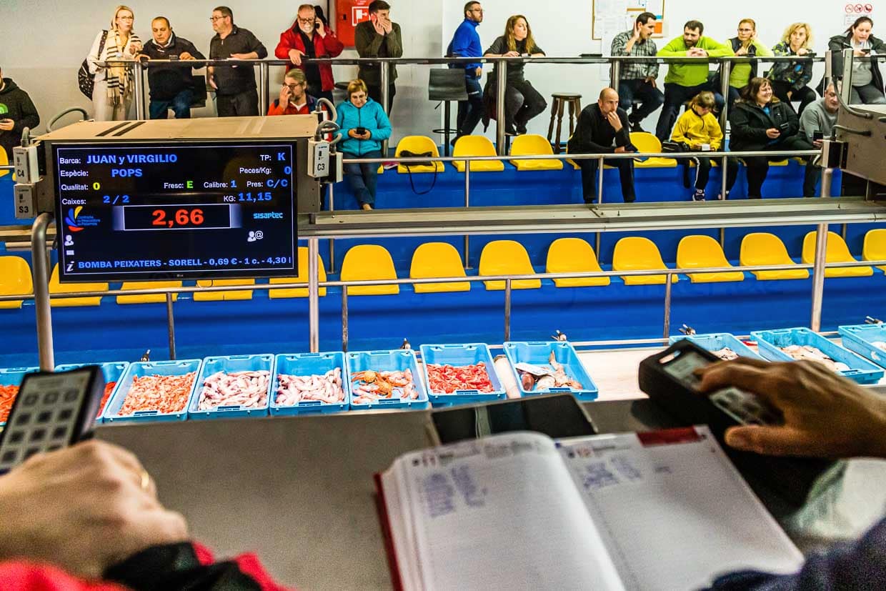 Der Tagesfang des Trawlers Punta Aire geht in die heiße Verkaufsphase / © Foto: Georg Berg