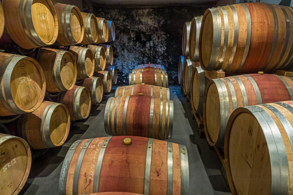 In der Tenuta San Giogio wird bevorzugt mit Französischer Eiche gearbeitet / © Foto: Georg Berg
