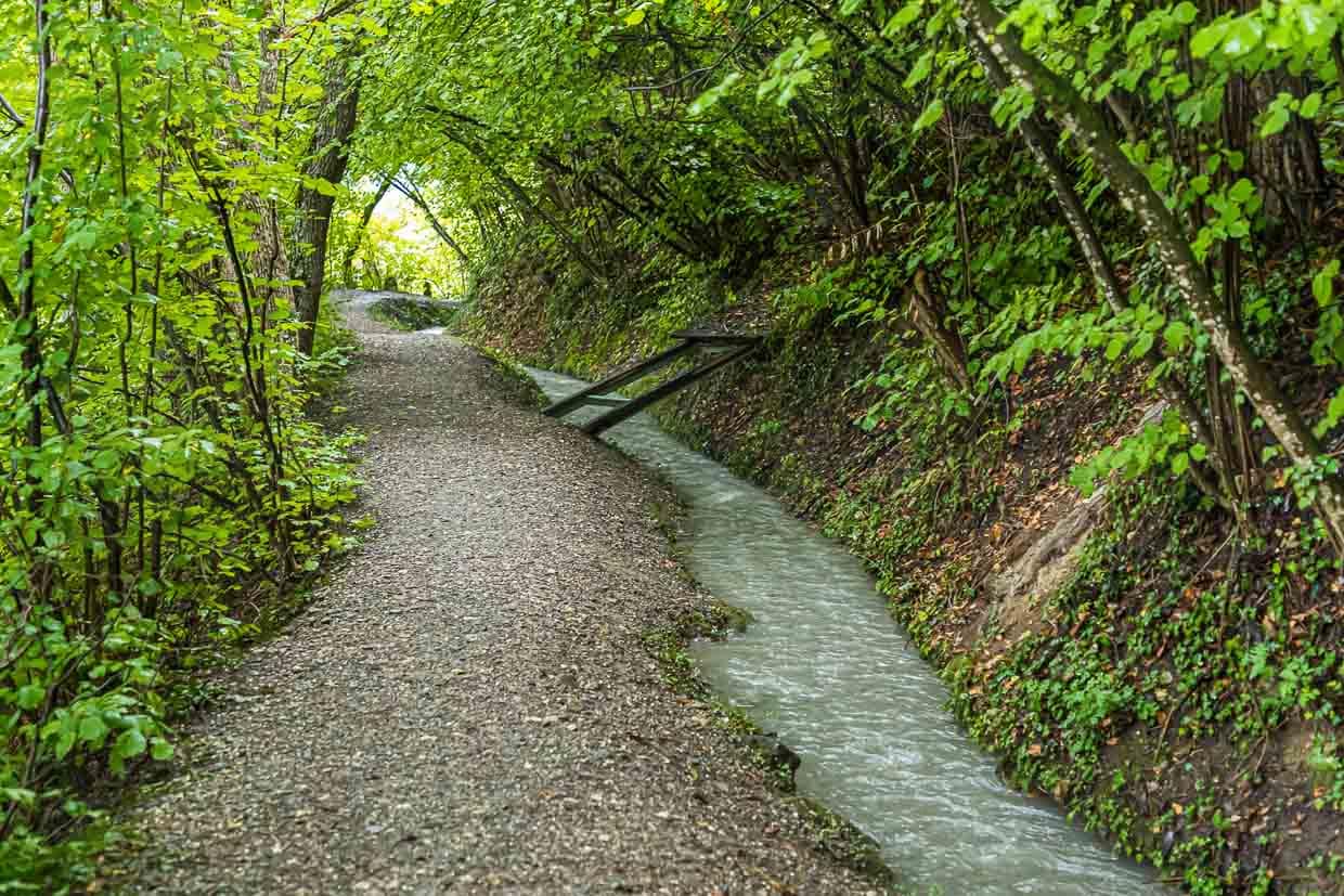 Insgesamt sechs Suonenwanderungen gibt es, die von Sion aus gut mit dem Postauto erreichbar sind / © Foto: Georg Berg