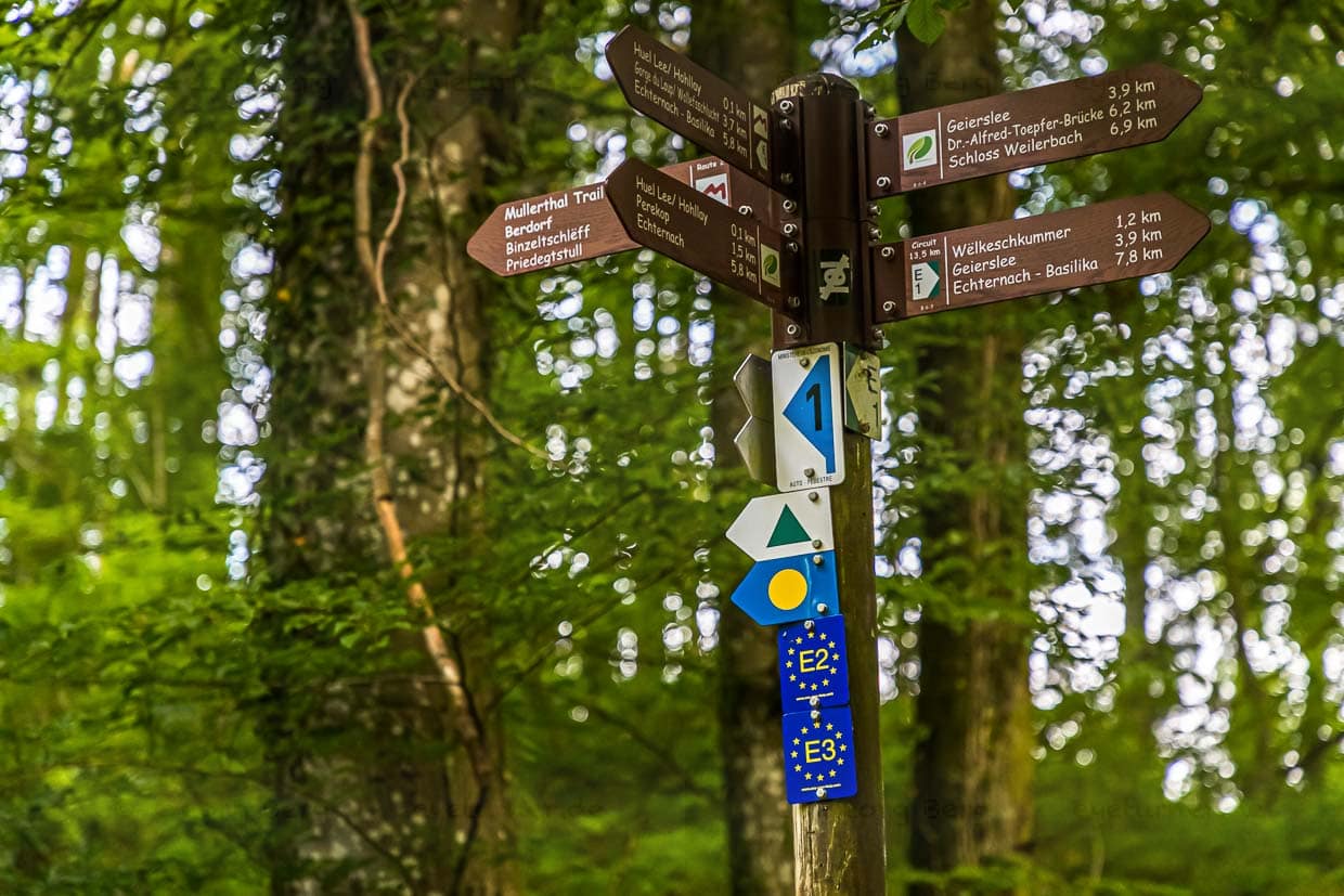 Das Zeichen des Müllerthal Trails ist ein rotes M. Aufgrund der vielen Kombinationsmöglichkeiten und Wanderschlaufen kann man sich in diesem Wandergebiet nicht über mangelnde Beschilderung beklagen / © Foto: Georg Berg