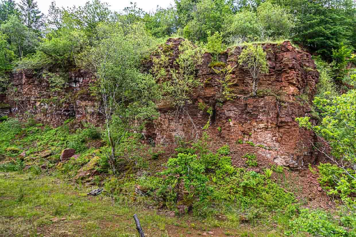 Rote Erde. Entlang des Minetttrails stößt man auch auf alte Abbaustellen für Eisenerz. Mittlerweile wachsen auch auf den Bruchkanten wieder Bäume / © Foto: Georg Berg