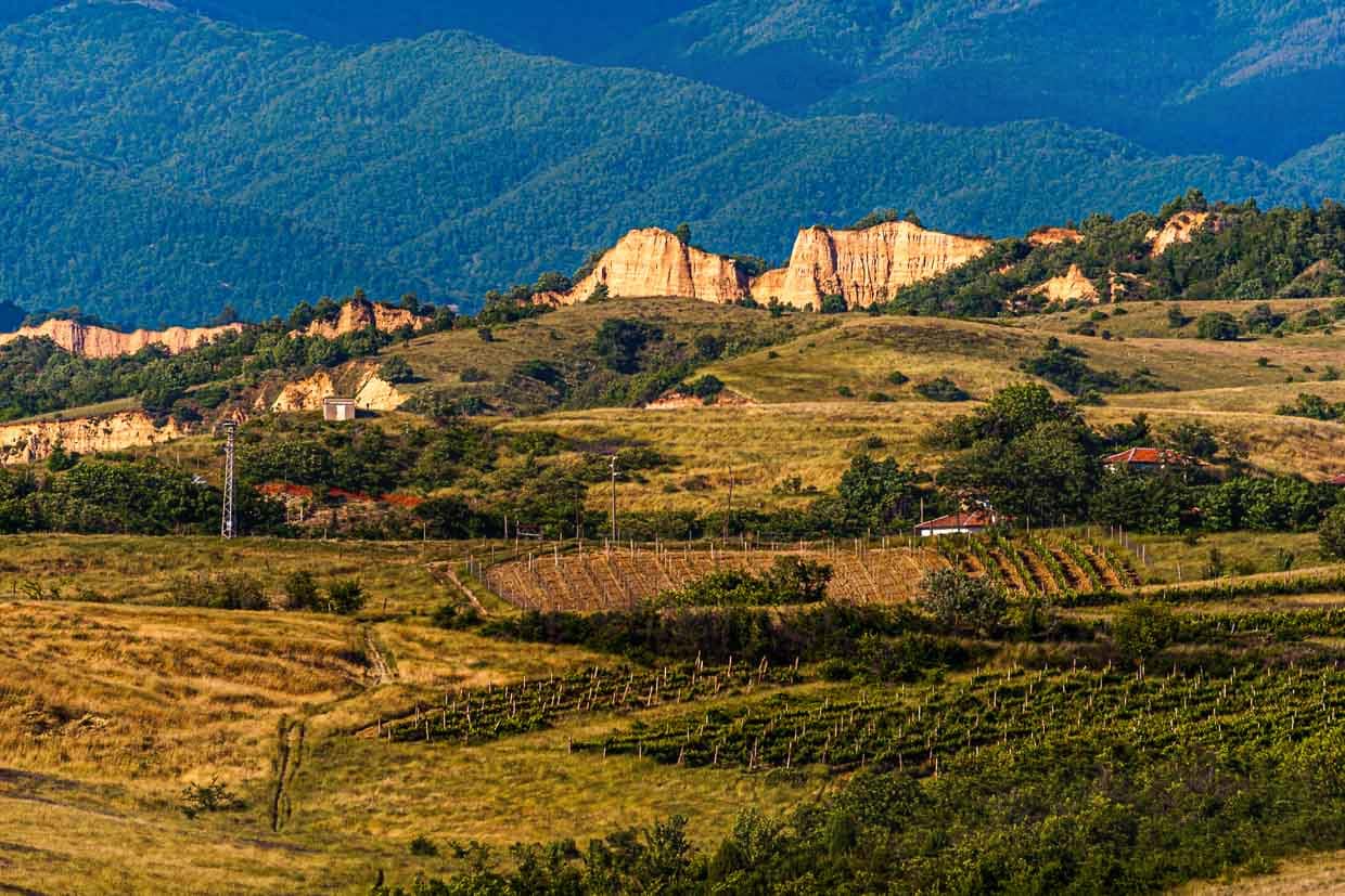 Die Weinberge des Familienguts Zornitza vor der Kulisse der Pyramiden von Melnik / © Foto: Georg Berg