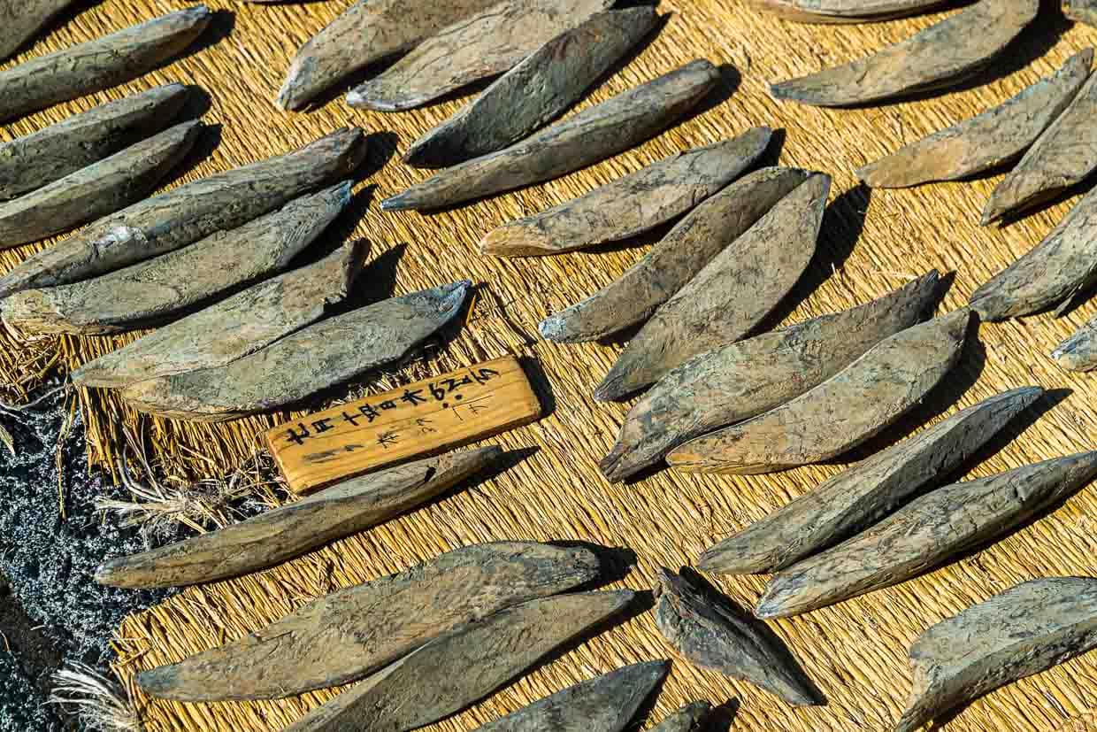 Sonne und Schimmelkultur im Wechsel geben dem Honkare-Katsuobushi den angestrebten Feuchtigkeitsgrad von unter 20 Prozent / © Foto: Georg Berg