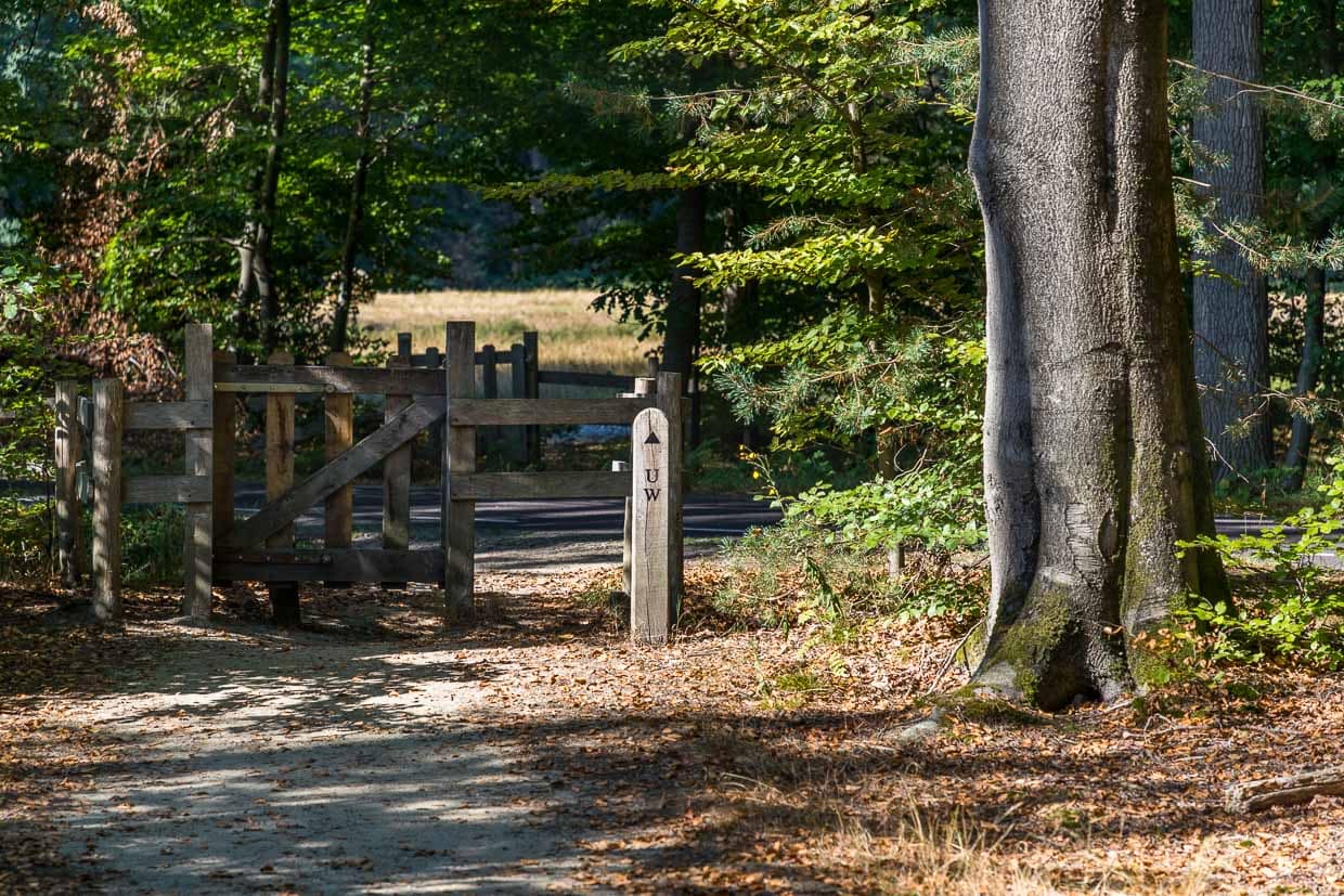 Le chemin d'enceinte actuel autour du château de Twickel remonte à un projet de 1890 de l'architecte paysagiste allemand Eduard Petzold / © Photo : Georg Berg