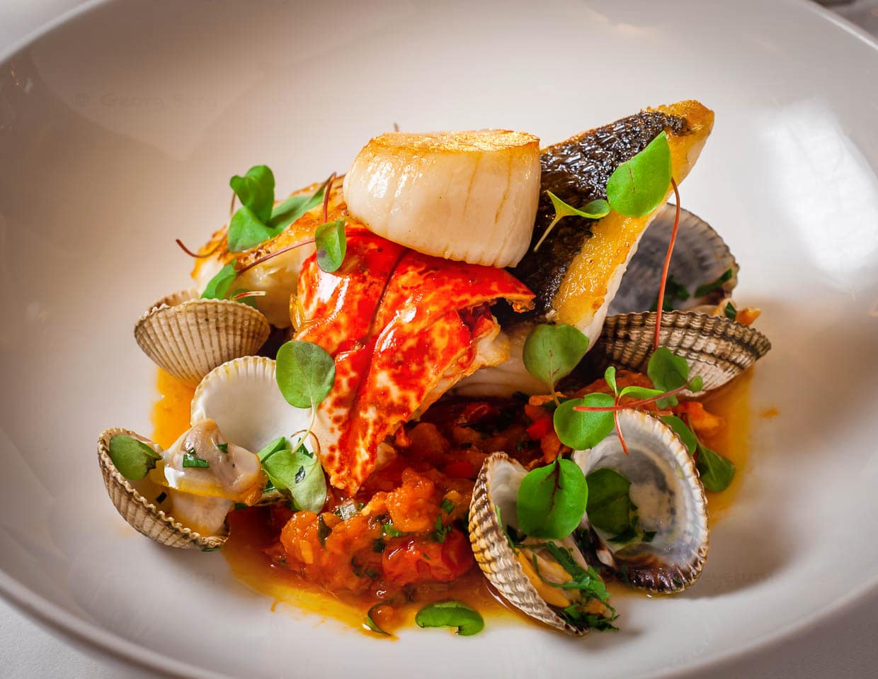 Meeresfrüchtesalat mit Hummer, Barsch und Seeteufel / © Foto: Georg Berg
