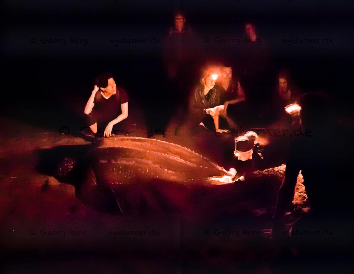 Andächtige Stimmung im Dunkeln in der Gegenwart des schnaufenden Wesens, das wie eine Erscheinung aus dem Ozean aufgetaucht ist. Schon vor den ersten Dinosauriern haben sich die Lederschildkröten hier in gleicher Weise fortgepflanzt. (Das Foto ist mit langer Belichtung aufgenommen worden und lässt wesentlich mehr erkennen, als man in der Nacht mit bloßem Auge sehen konnte) / © Foto: Georg Berg