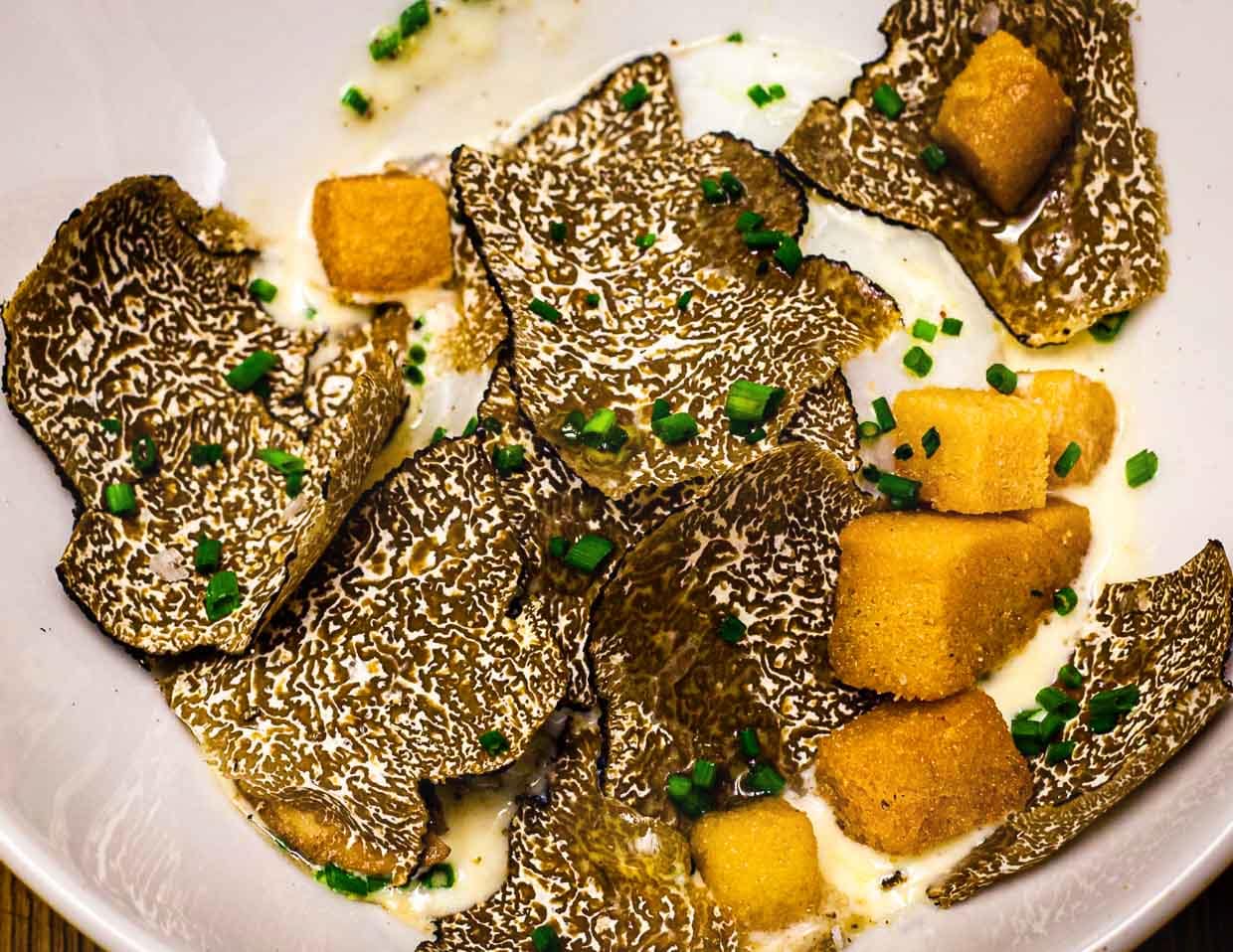 Bis der schwarze Burgund-Trüffel auf dem Teller landet, dürfen vom Fundtag bis zur Verarbeitung nicht viele Tage vergehen. Trüffel hält sich unverarbeitet rund 10 Tage / © Foto: Georg Berg