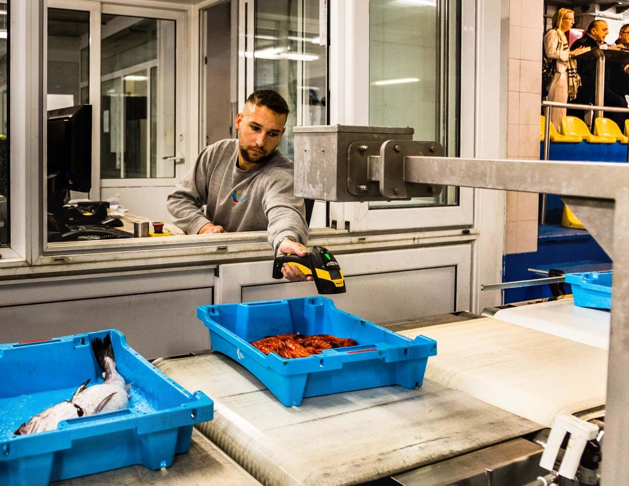 Der Auktionator an seinem Arbeitsplatz: wiegen, scannen, Preis festlegen und los geht die Auktion der fallenden Preise / © Foto: Georg Berg