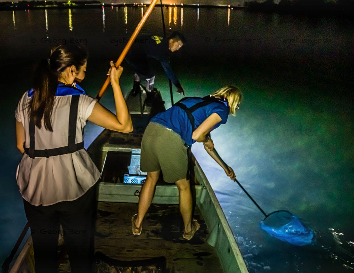 Fische können auch mit einem Kescher gefangen werden / © Foto: Georg Berg