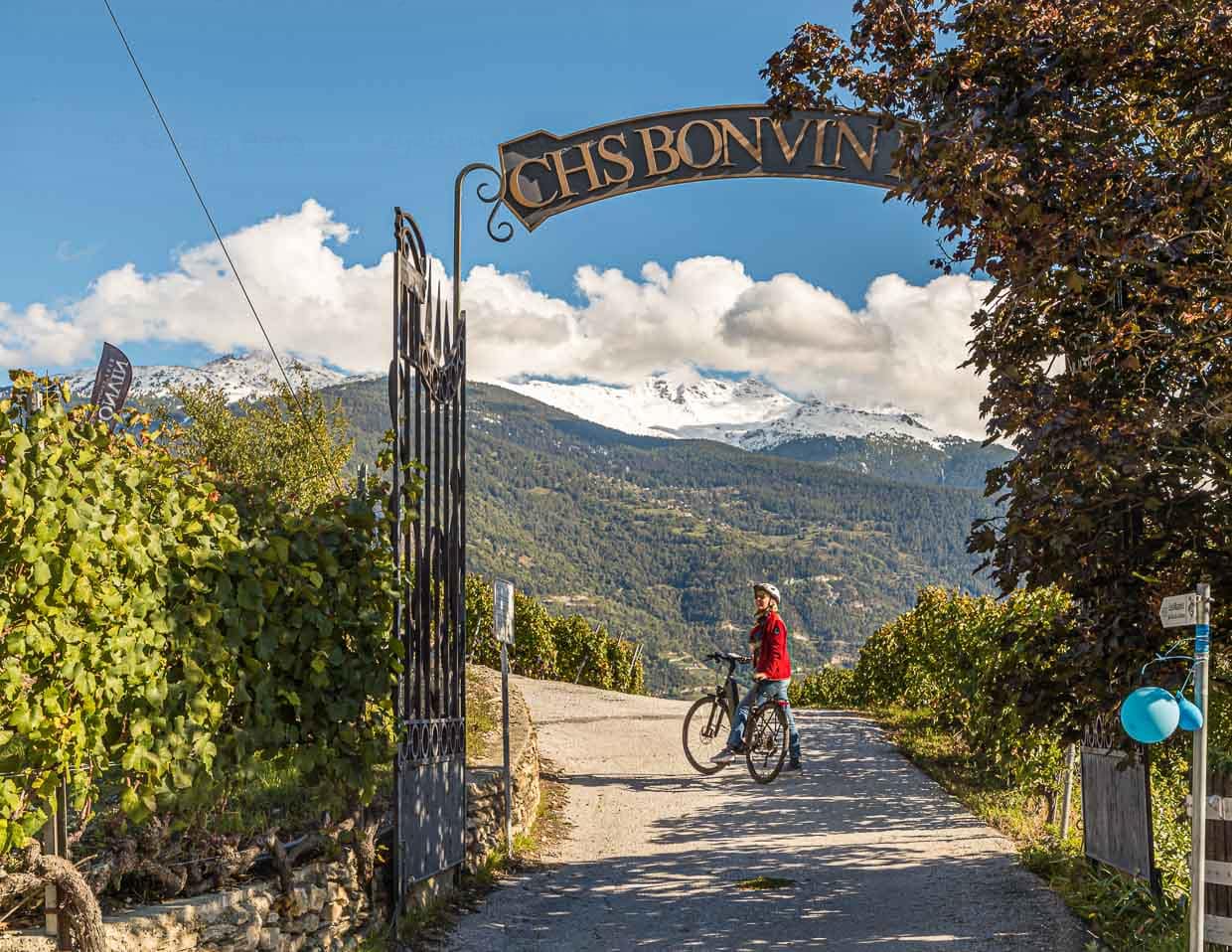E-Bike Tour mit kulinarischen Stationen durch die steilen Weinberge der Les Celliers de Sion / © Foto: Georg Berg