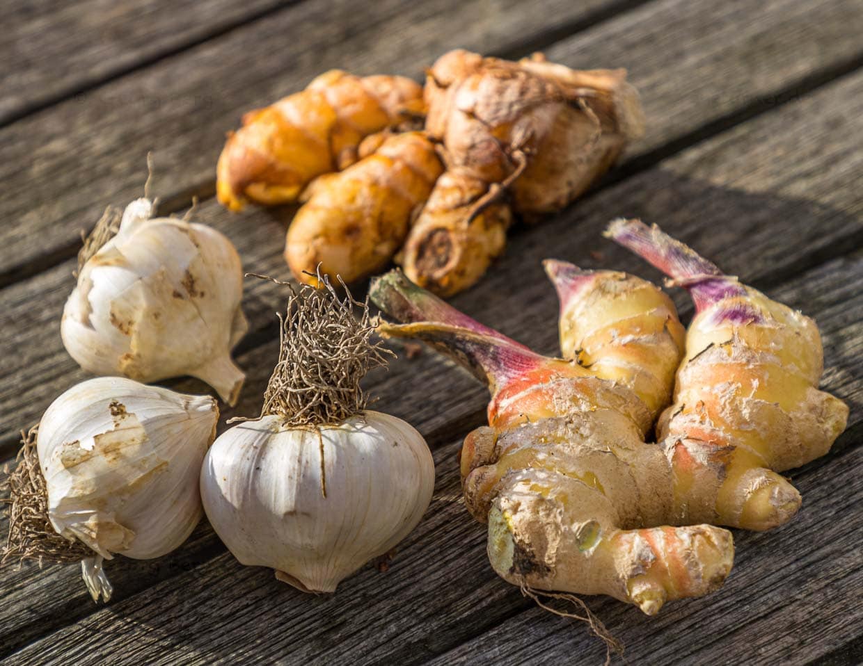 Authentische Souvenirs, die sich zu Hause verbrauchen und keinen Staub ansetzen: Bamberger Knoblauch sowie Kurkuma- und Ingwerknollen / © Foto: Georg Berg
