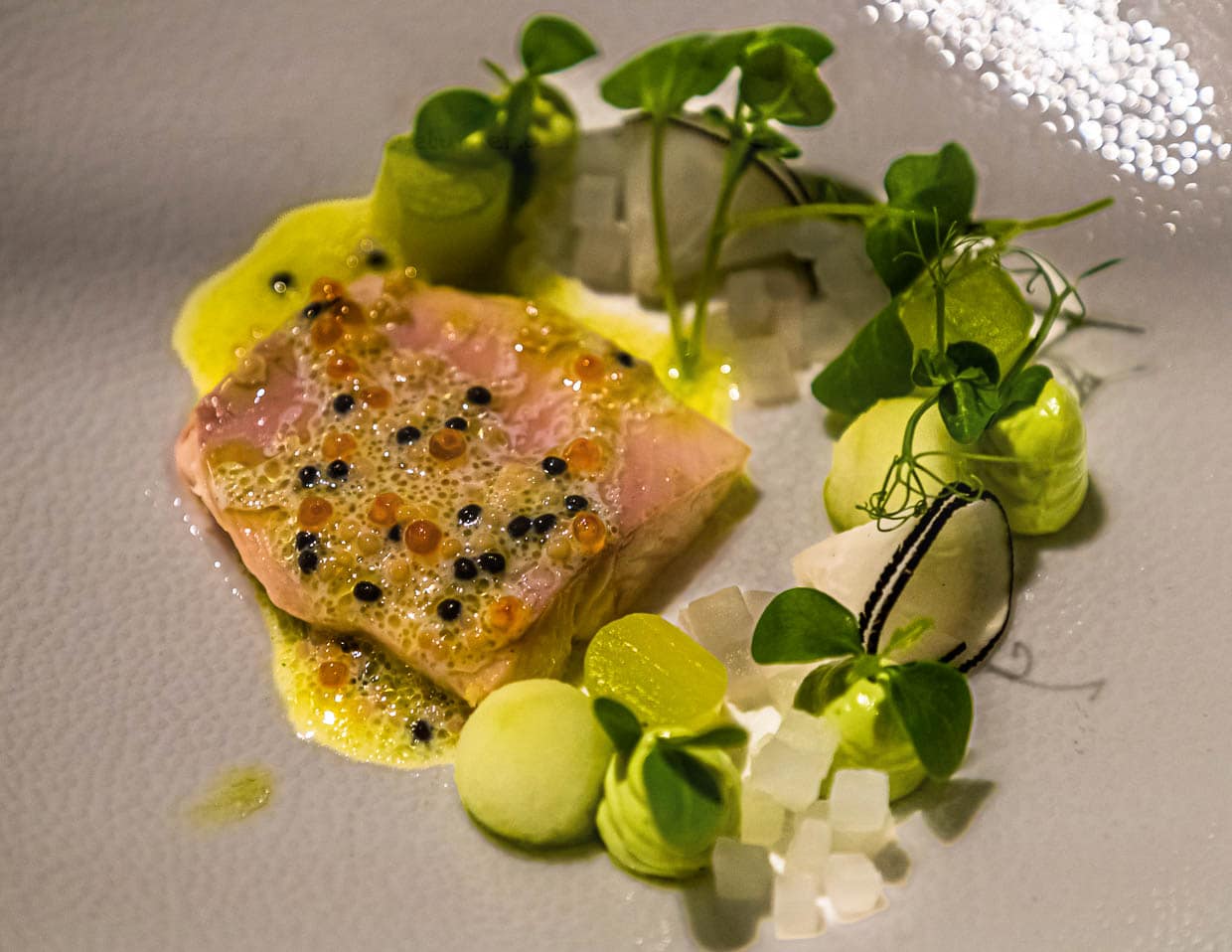 Arktische Forelle mit Dill, Apfel und Gurke / © Foto: Georg Berg