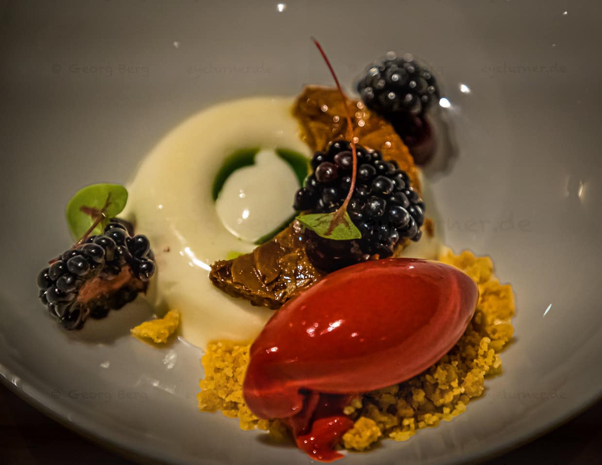 Dessert aus Ziegenmilchjoghurt mit Basilikumöl, Brombeereis und Gel aus Schwarzer Johannisbeere / © Foto: Georg Berg