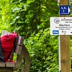 Der erste Steilanstieg aus dem Tal der Sauer ist geschafft. Das Zeichen der weißen Welle auf blauem Grund ist das offizielle Zeichen des Trails / © Foto: Georg Berg