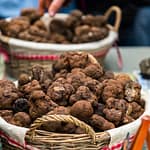 Der Trüffelmarkt in Aups findet von Anfang Dezember bis März immer donnerstags statt. Der Trüffelmarkt von Aups ist der drittgrößte seiner Art in ganz Frankreich. Hier verkaufen die Trüffelhändler direkt an Endkunden. Woanders sind beim Trüffelhandel meist Großhändler zwischengeschaltet / © Foto: Georg Berg