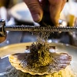 Schwarzer Trüffel mit Jakobsmuschel. Ein Klassiker in der französischen Küche / © Foto: Georg Berg