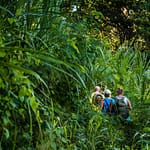 On-on. Die Markierungen des richtigen Trails sind in der üppigen Vegetation nicht immer leicht zu finden / © Foto: Georg Berg