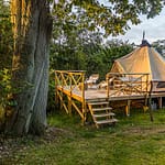 Glamping im Garten der Villa Skovly in Hesselager, Dänemark. Das geräumige Zelt mit Doppelbett steht auf einer Holzterasse im Obstgarten der Villa / © Foto: Georg Berg