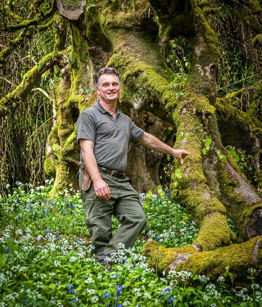 Chefgärtner Ben Roscombe-King an seinem Lieblingsbaum, einer über 200 Jahre alten Trauerbirke. Sie hat ihr maximales Lebensalter eigentlich schon überschritten und die Gärtner müssen ihre riesigen Äste teils stützen / © Foto: Georg Berg