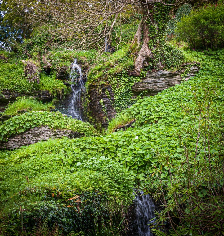 Bäume wurden bewusst nah an künstlich geschaffene Felsvorsprünge gesetzt, Wasserfälle harmonisch in den Hügel platziert. Das Rapton-Tableau. Nach über 200 Jahren sind aber einige Bäume über die Felskante gekippt / © Foto: Georg Berg