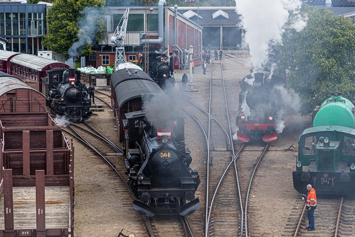 Réunion de locomotives à vapeur au musée ferroviaire d'Odense (Jernbanemuseum) à Odense, au Danemark. Il est bien possible qu'un de ces trains à vapeur se soit déjà rendu à Mölle / © Photo : Georg Berg