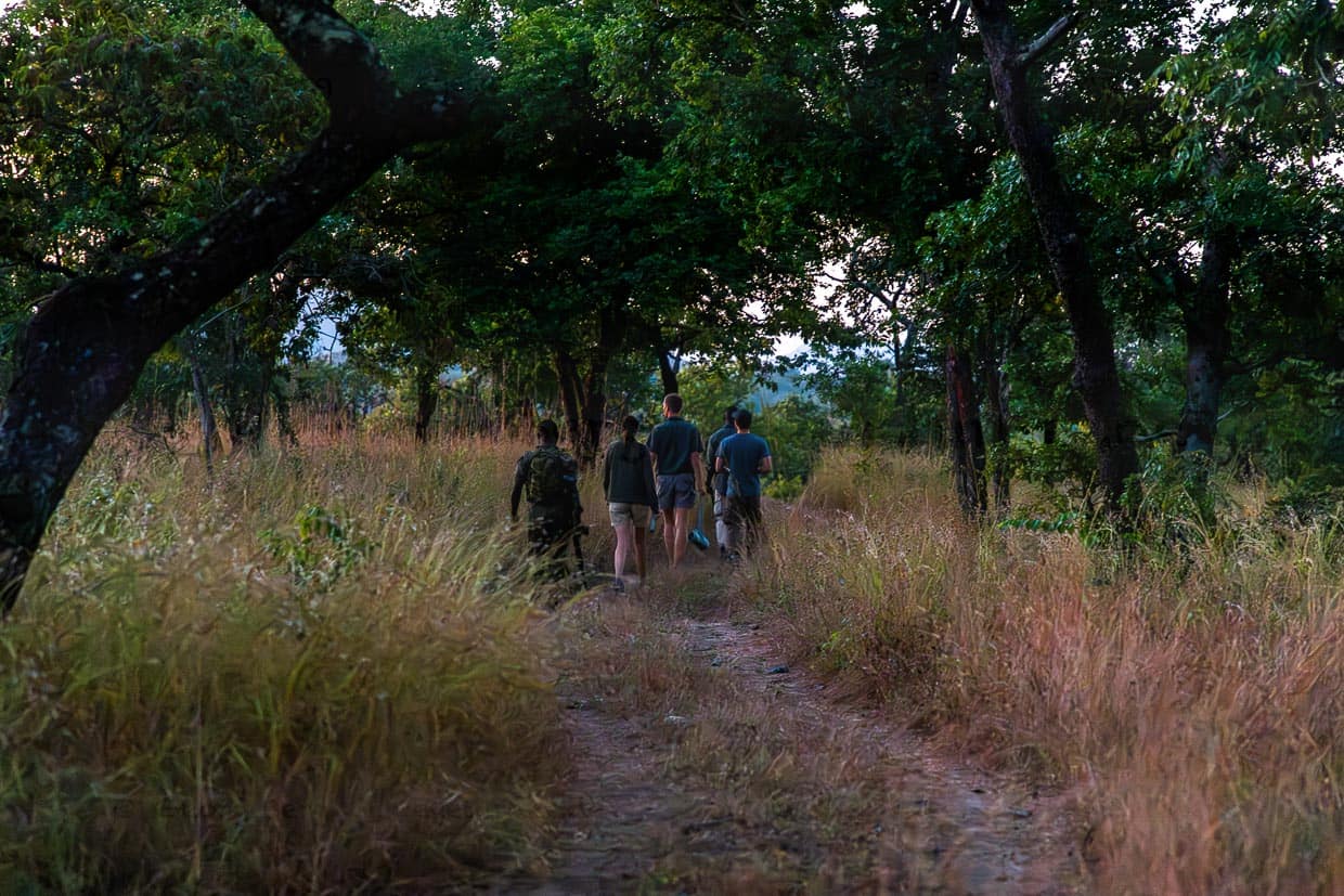 Eine Gruppe aus Rangern, Monitoring Managern und der Tierärztin Dagmar Mayer bei der Auswahl eines Ortes zum Auslegen eines Köders / © Foto: Georg Berg