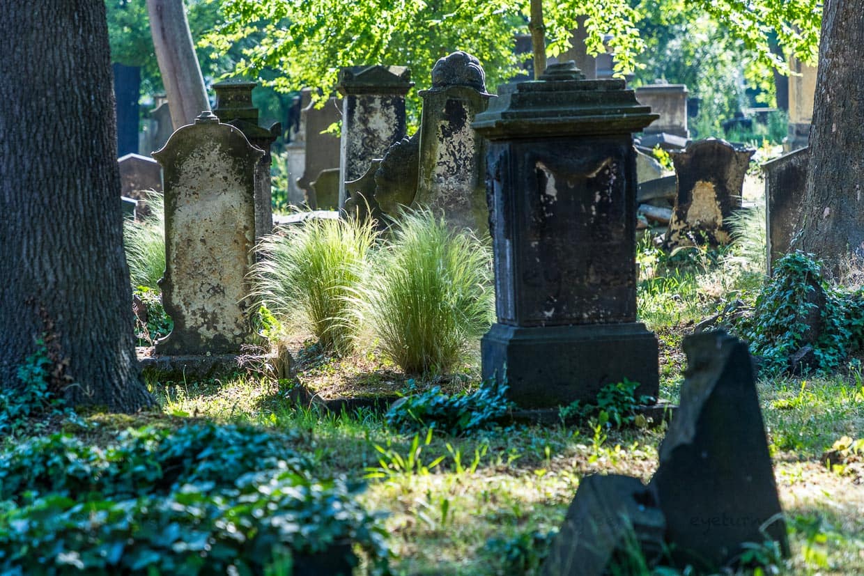 Auf dem Eliasfriedhof in Dresden scheint die Zeit still zu stehen. Grabsteine in großer Formenvielfalt erzählen aus 200 Jahren Geschichte der Residenzstadt Dresden / © Foto: Georg Berg