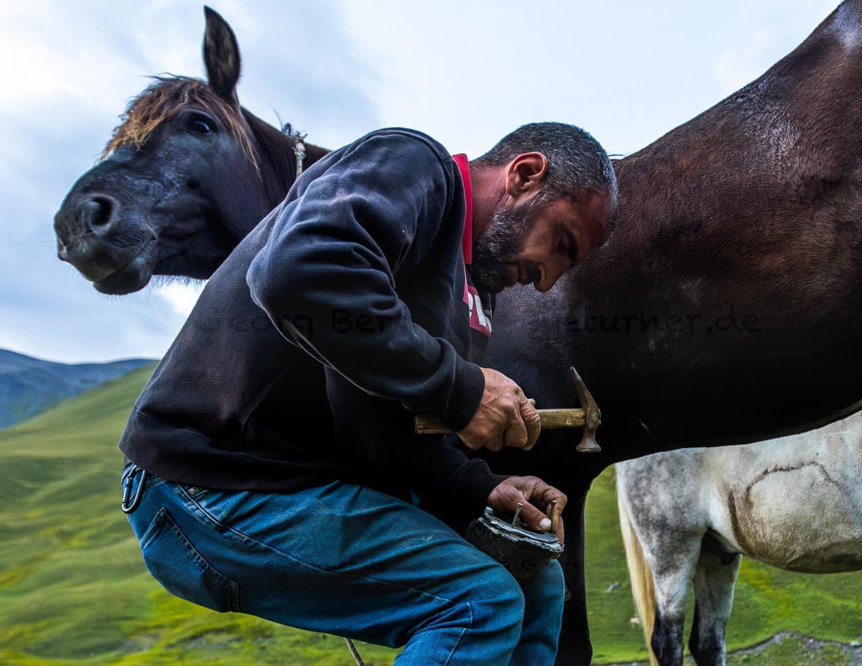Etwa viermal im Jahr werden die Packpferde unterwegs mit neuen Hufeisen beschlagen / © Foto: Georg Berg