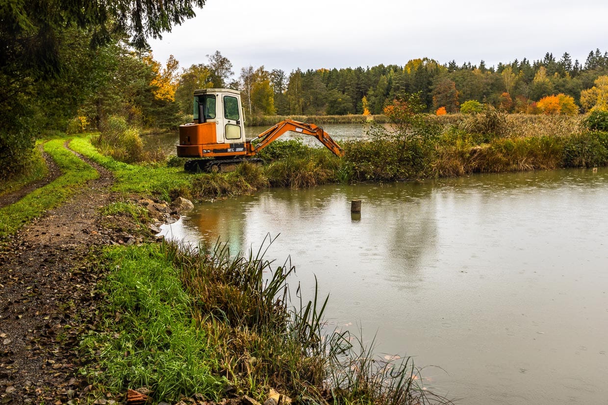 Bagger an einem Karpfenteich in der Oberpfalz. Die Fischzucht erfolgt in Kettenteichen, die mit leichtem Niveauunterschied hintereinander angelegt werden. Beim Entleeren wird das Wasser eines Teiches im daruntergelegenen und bereits abgefischten Teich aufgefangen. So wird in der Teichwirtschaft Wasser gespart / © Foto: Georg Berg