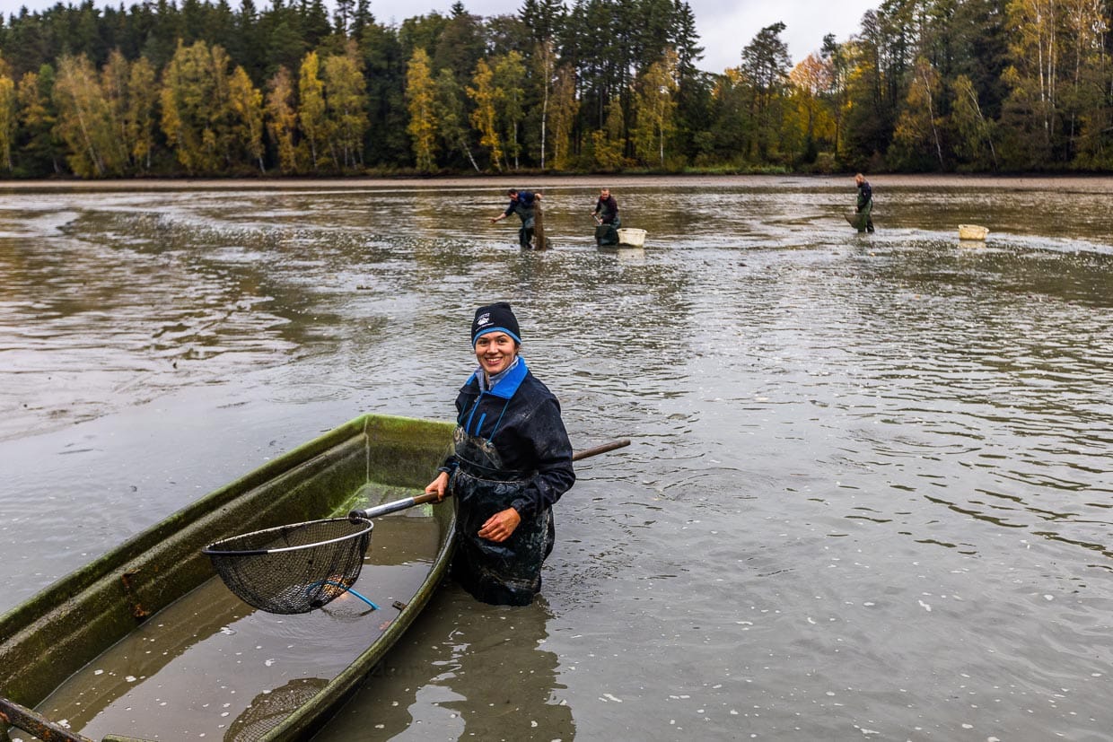 Lena Bächer ist studierte Landwirtin und gehört zur dritten Generation der Familie Bächer im Karpfengeschäft / © Foto: Georg Berg
