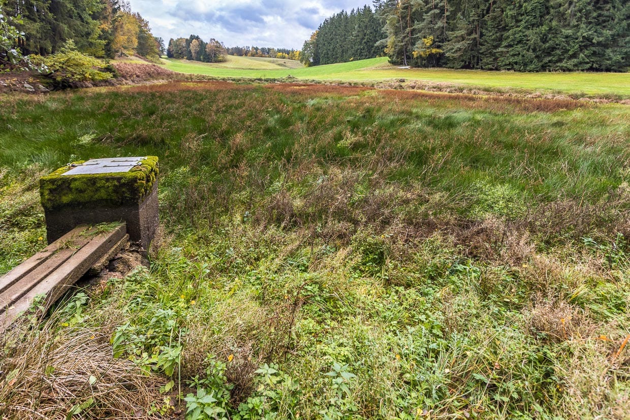 Verlandeter Teich. Hier wurde die Bewirtschaftung durch den Teichwirt aufgegeben. Karpfenteichwirtschaft findet in Einklag mit der Natur statt und fördert den Artenreichtum. Strenge Auflagen zum Schutz einzelner Tierarten wie Otter, Biber oder Kormaran dezimieren den Fischbestand und machen die Fischzucht zunehmend unrentabel / © Foto: Georg Berg