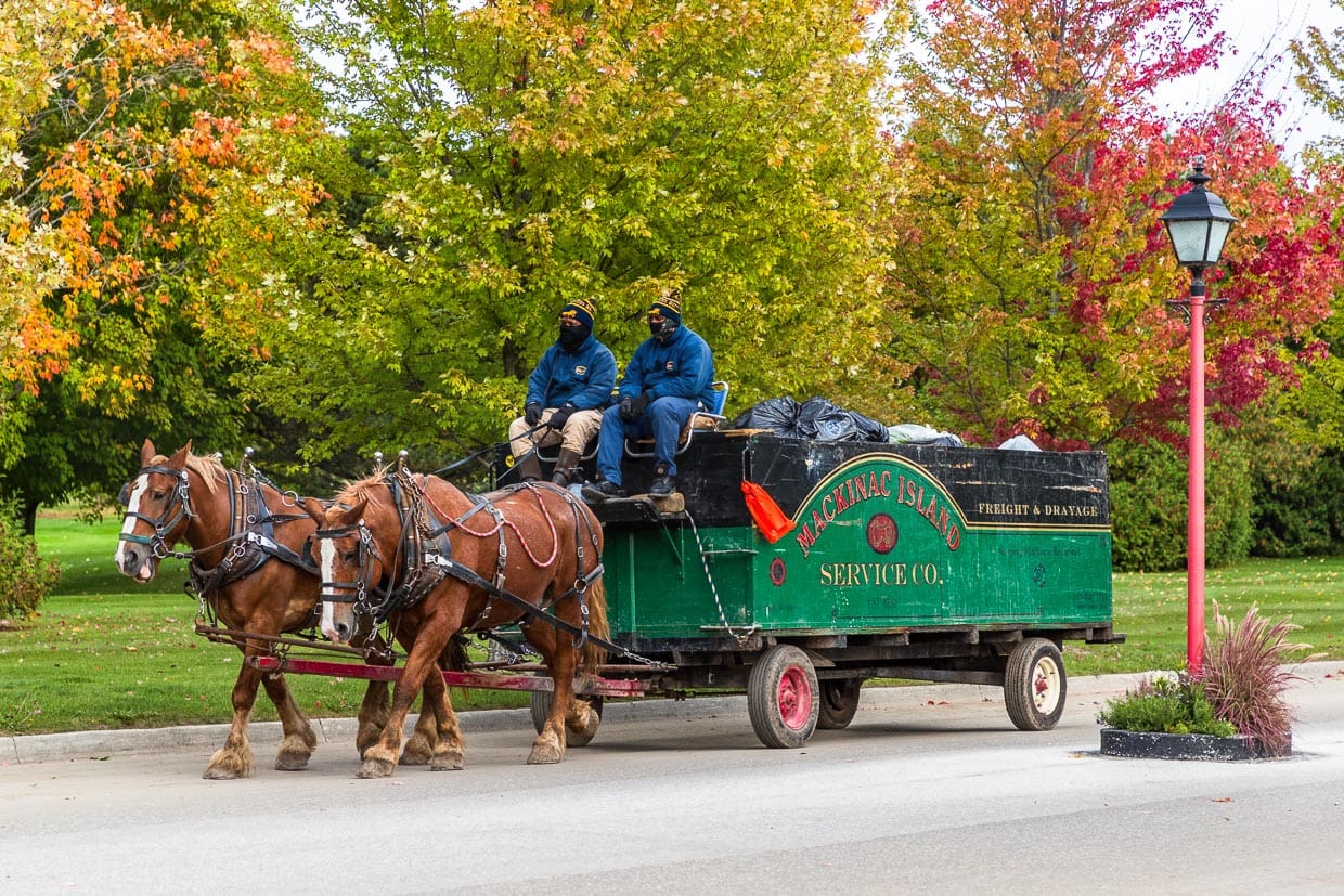Pferdekutsche Mackiac Island Service. Müllentsorgung und Warentransport erfolgt auf der autofreien Insel ausschließlich mit Pferden / © Foto: Georg Berg