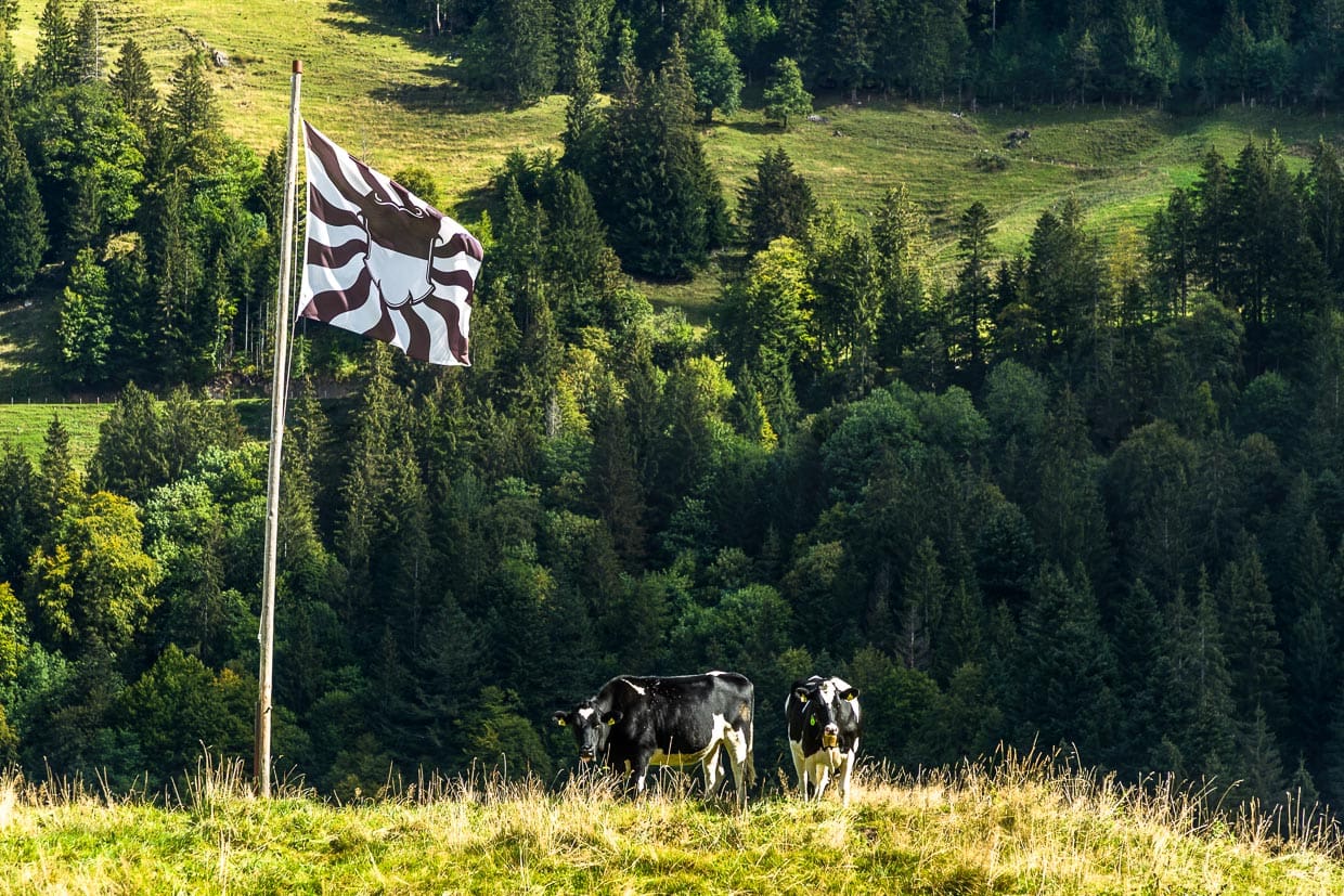 Die Fahne und das Wappen des Kantons Freiburg sind schwarz-weiss und gehen auf Berchtold IV. von Zähringen, den Gründer der Stadt Freiburg im Jahr 1152 zurück / © Foto: Georg Berg