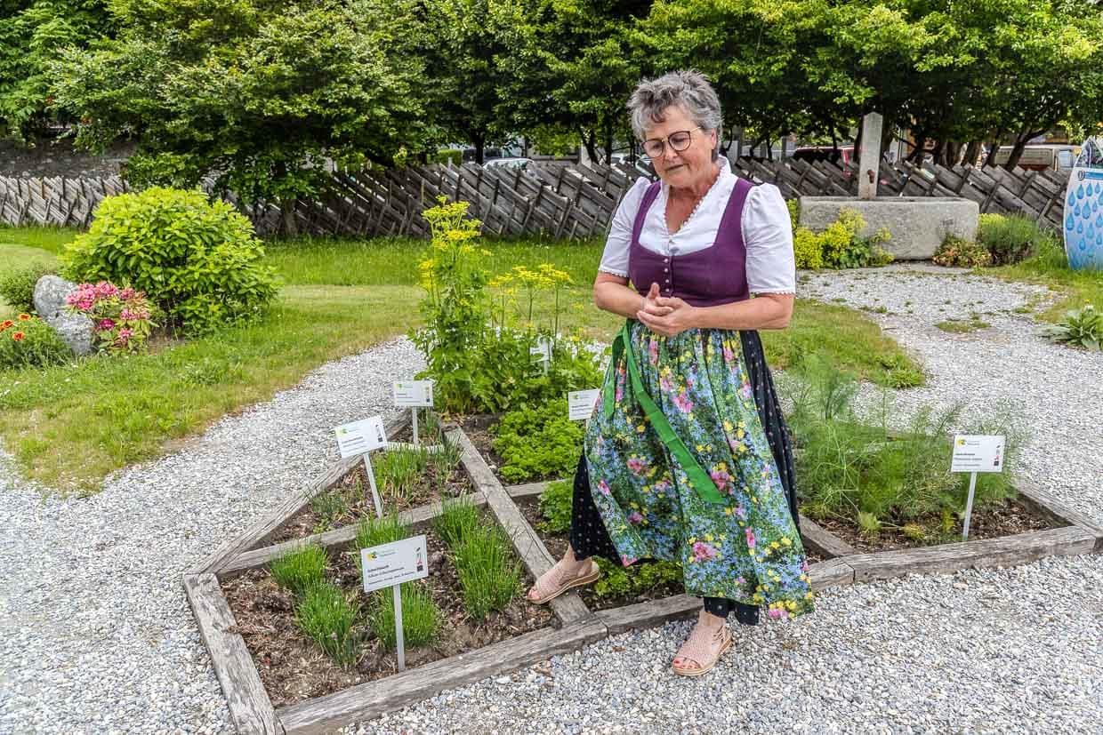 Frau in Tracht präsentiert Kräuter im Garten in Hollersbach, Reitlehen, Austria