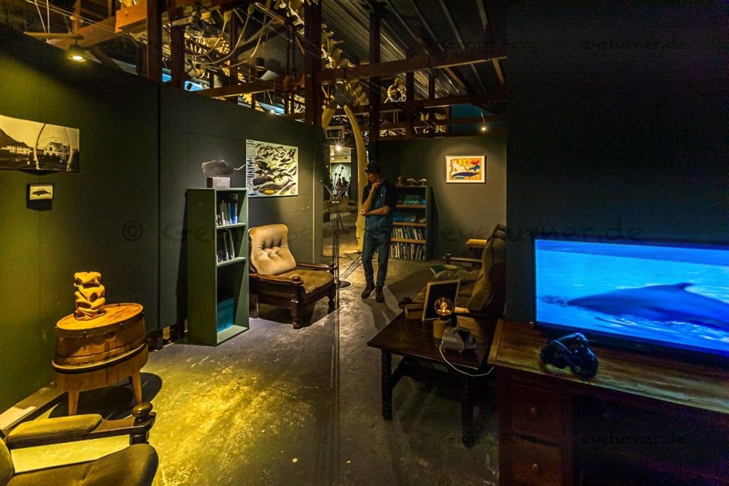 Die Bibliothek des Museums ist wie ein Wohnzimmer eingerichtet, in dem man schmökern und Videos schauen kann / © Foto: Georg Berg